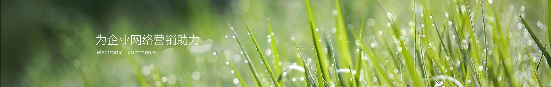 вչƹ޹˾